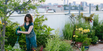 Urban gardening: Growing your own food in small spaces