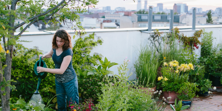 Urban gardening: Growing your own food in small spaces Homes and Gardens Urban gardening: Growing your own food in small spaces